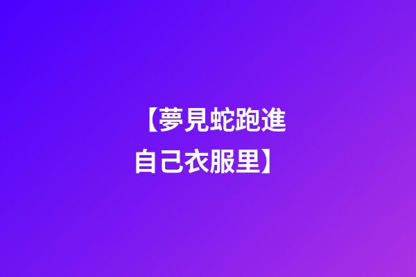 【夢見蛇跑進自己衣服里】