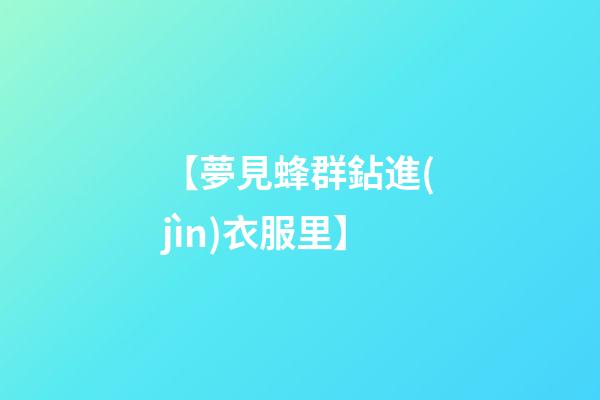 【夢見蜂群鉆進(jìn)衣服里】
