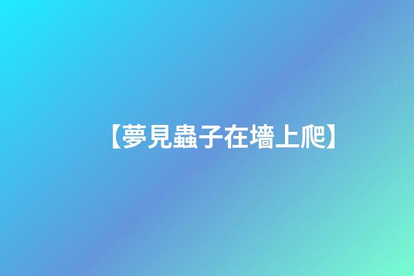 【夢見蟲子在墻上爬】
