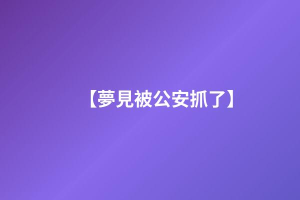 【夢見被公安抓了】