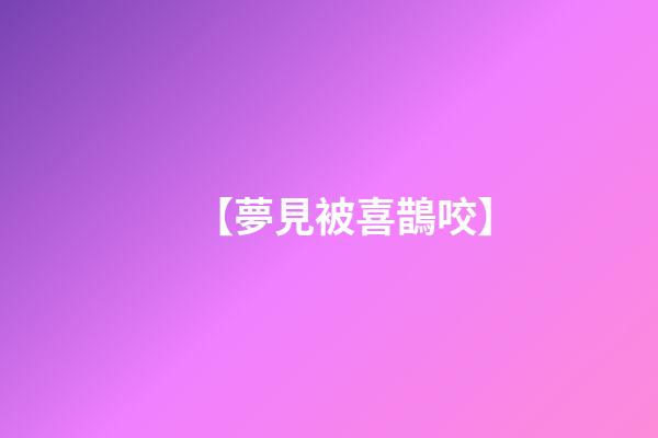 【夢見被喜鵲咬】