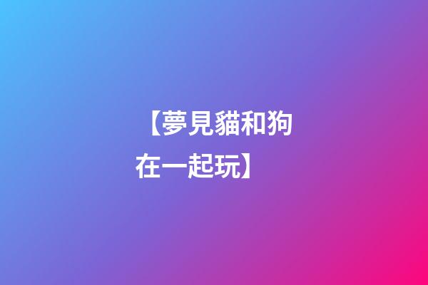 【夢見貓和狗在一起玩】