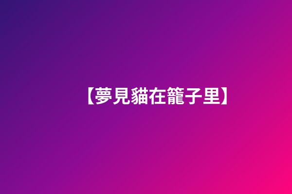 【夢見貓在籠子里】