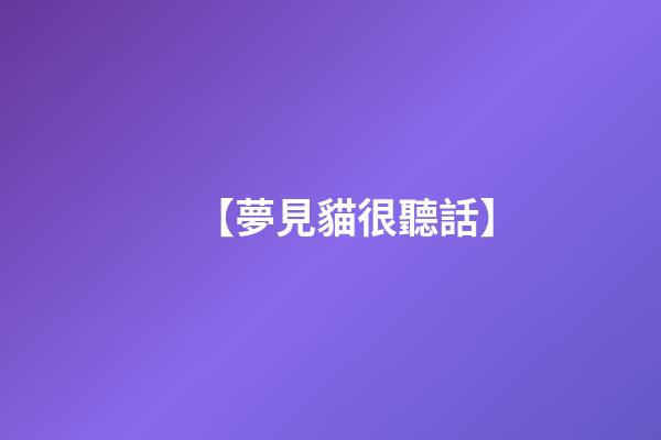 【夢見貓很聽話】