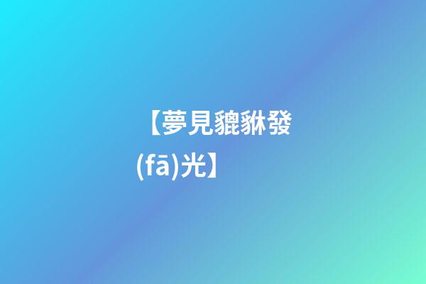 【夢見貔貅發(fā)光】
