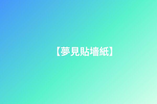 【夢見貼墻紙】