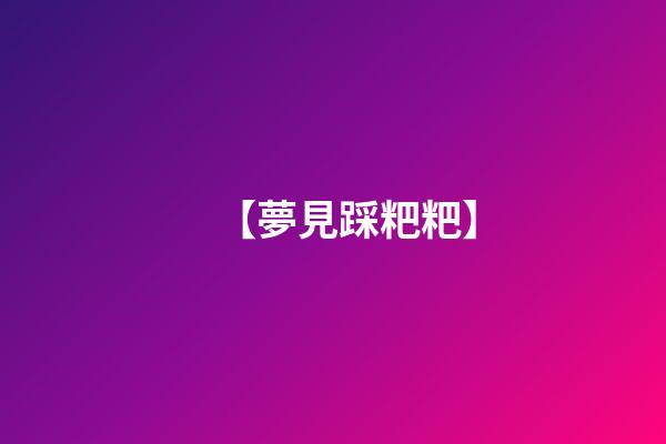 【夢見踩粑粑】