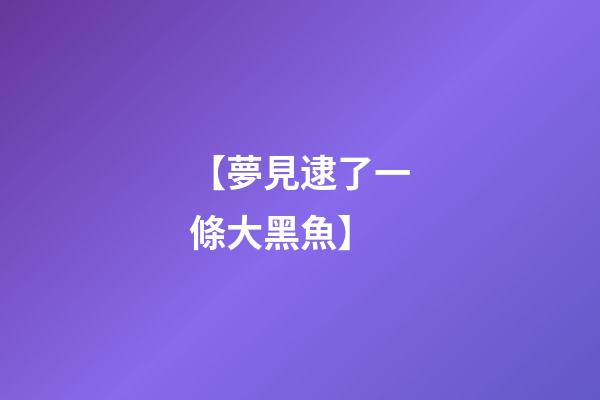 【夢見逮了一條大黑魚】