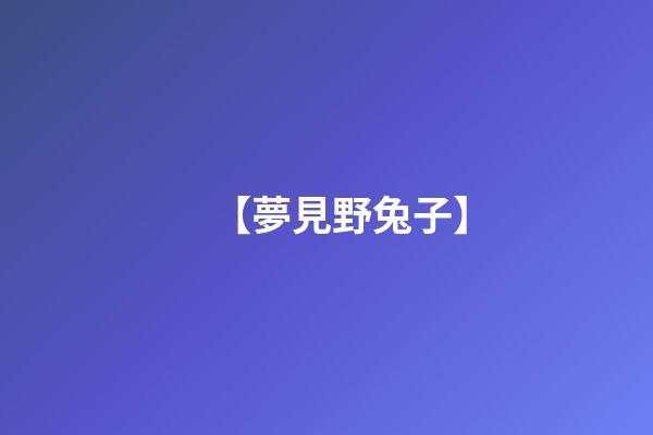 【夢見野兔子】