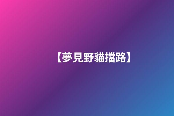 【夢見野貓擋路】