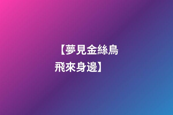 【夢見金絲鳥飛來身邊】
