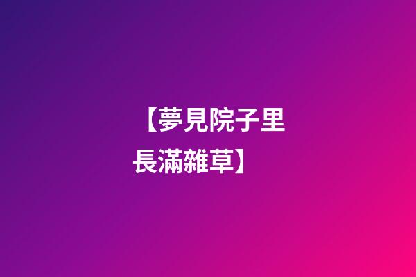 【夢見院子里長滿雜草】