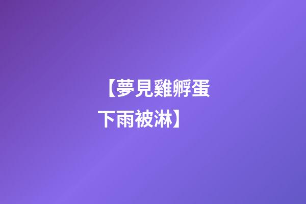 【夢見雞孵蛋下雨被淋】