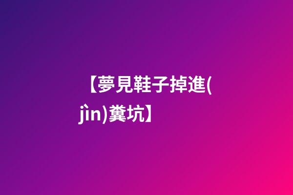 【夢見鞋子掉進(jìn)糞坑】