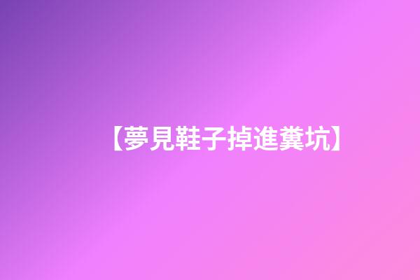 【夢見鞋子掉進糞坑】