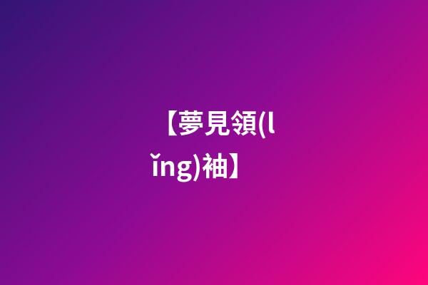 【夢見領(lǐng)袖】