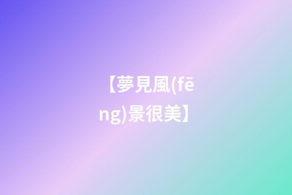 【夢見風(fēng)景很美】