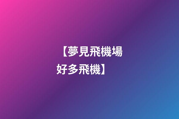 【夢見飛機場好多飛機】