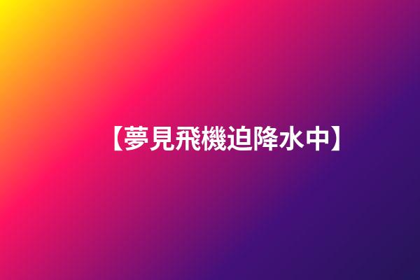 【夢見飛機迫降水中】