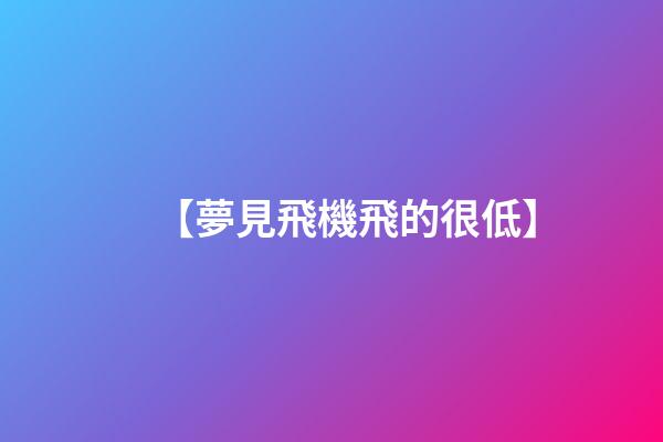 【夢見飛機飛的很低】