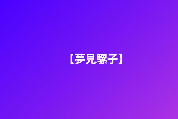 【夢見騾子】