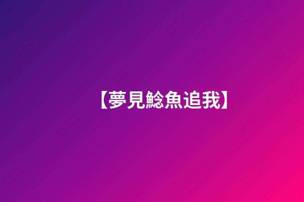 【夢見鯰魚追我】