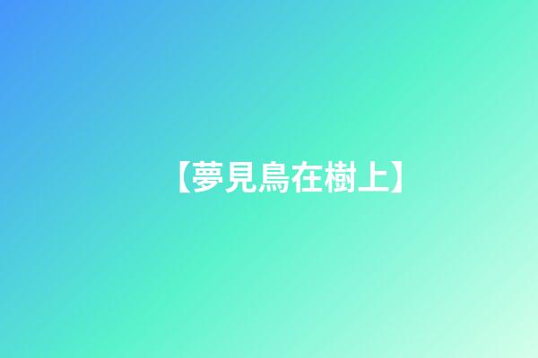【夢見鳥在樹上】