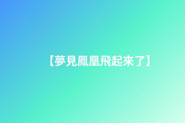 【夢見鳳凰飛起來了】