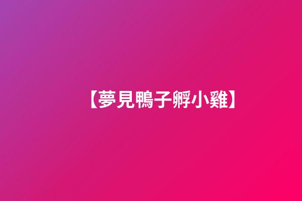 【夢見鴨子孵小雞】