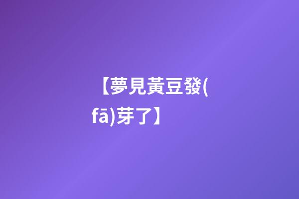 【夢見黃豆發(fā)芽了】