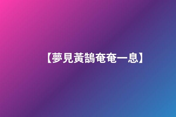 【夢見黃鵠奄奄一息】