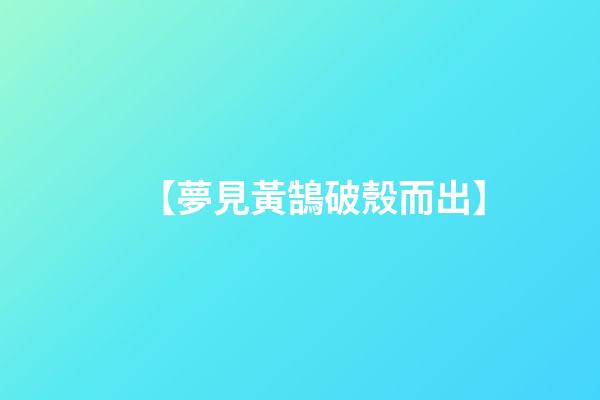 【夢見黃鵠破殼而出】
