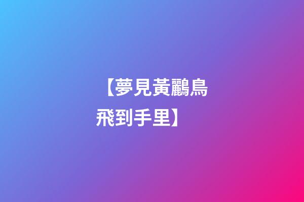 【夢見黃鸝鳥飛到手里】