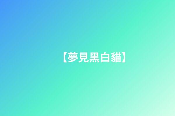 【夢見黑白貓】