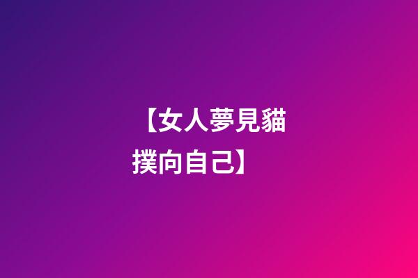 【女人夢見貓撲向自己】