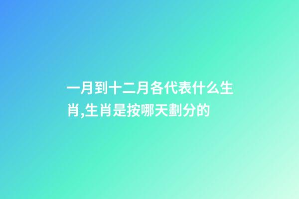 一月到十二月各代表什么生肖,生肖是按哪天劃分的-第1張-觀點-玄機派