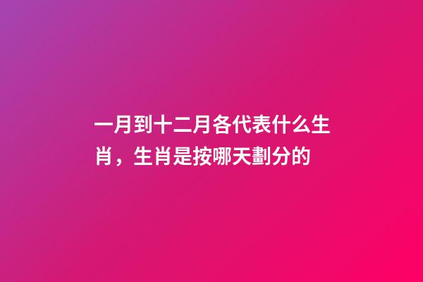 一月到十二月各代表什么生肖，生肖是按哪天劃分的-第1張-觀點-玄機派