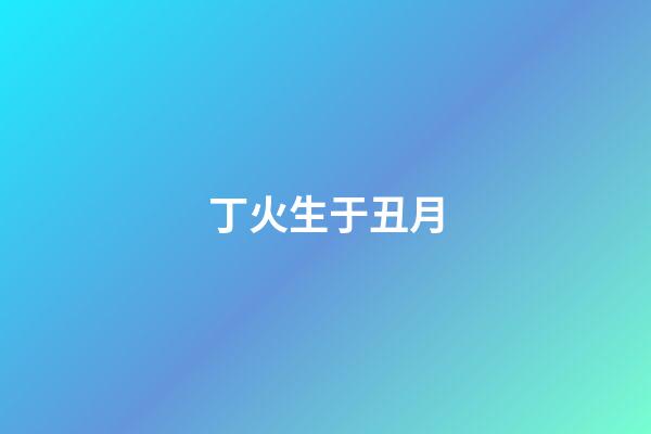 丁火生于丑月