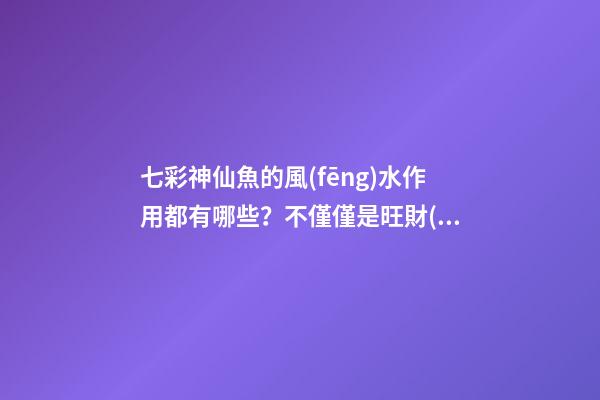 七彩神仙魚的風(fēng)水作用都有哪些？不僅僅是旺財(cái)