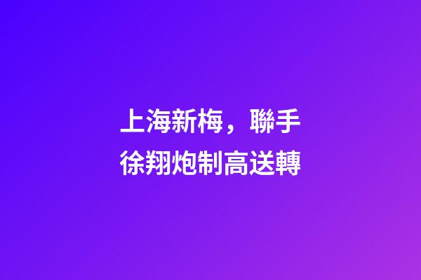 上海新梅，聯手徐翔炮制高送轉-第1張-觀點-玄機派