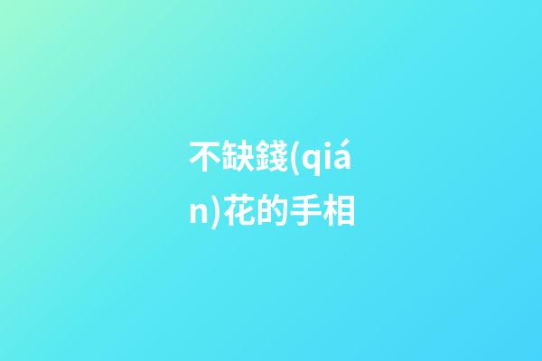 不缺錢(qián)花的手相