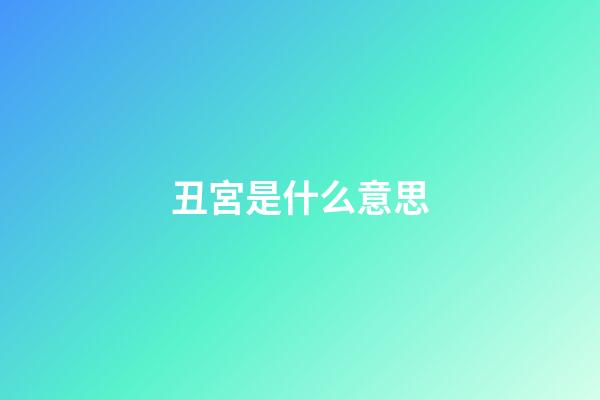 丑宮是什么意思