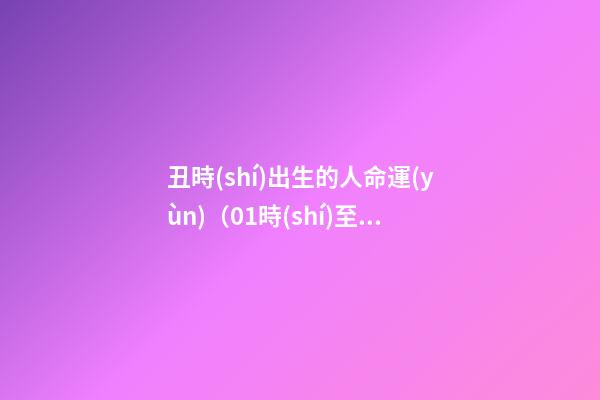丑時(shí)出生的人命運(yùn)（01時(shí)至03時(shí)）