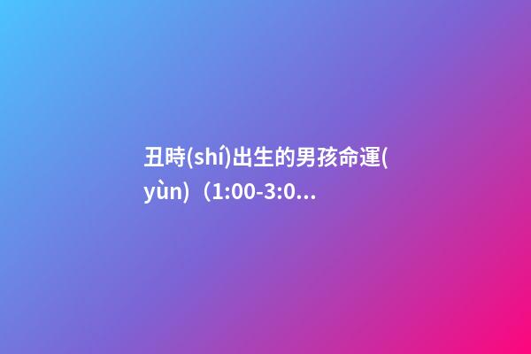 丑時(shí)出生的男孩命運(yùn)（1:00-3:00）