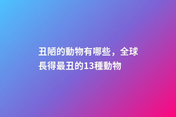 丑陋的動物有哪些，全球長得最丑的13種動物-第1張-觀點-玄機派