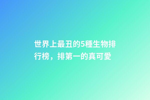 世界上最丑的5種生物排行榜，排第一的真可愛-第1張-觀點-玄機派