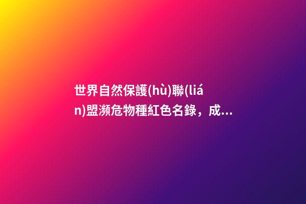 世界自然保護(hù)聯(lián)盟瀕危物種紅色名錄，成群結(jié)隊(duì)!“冬之精靈”亮相邯鄲峰峰-第1張-觀點(diǎn)-玄機(jī)派