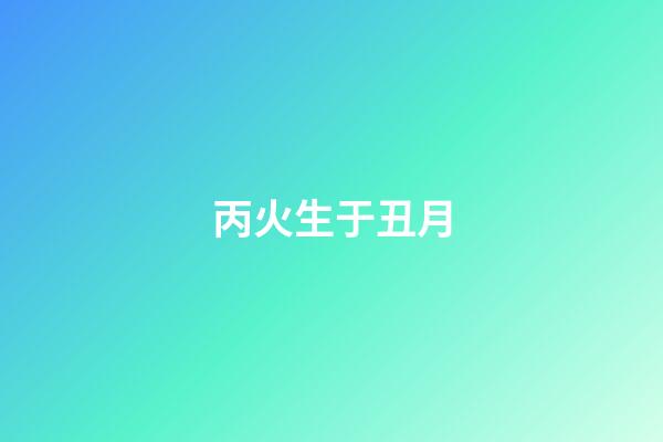 丙火生于丑月