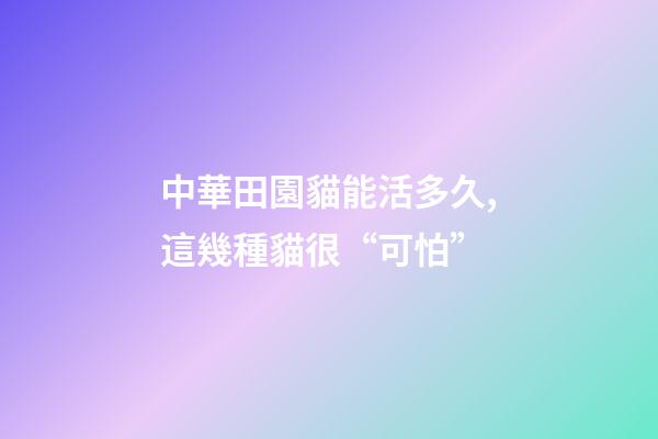中華田園貓能活多久,這幾種貓很“可怕”-第1張-觀點-玄機派