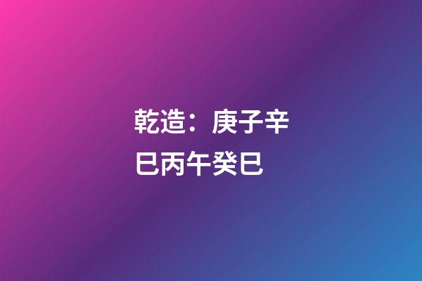 乾造：庚子辛巳丙午癸巳